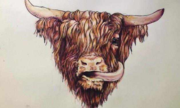 Highland scots drawing easy