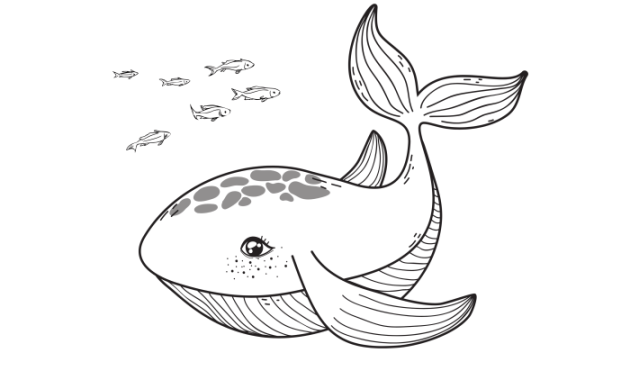 Animal coloring pages national geographic