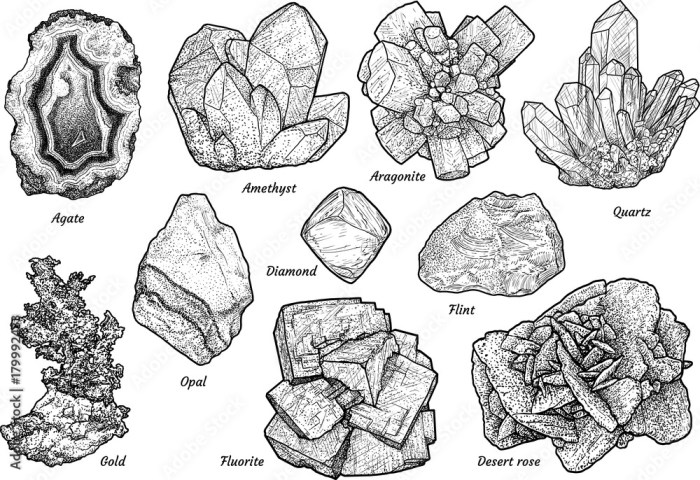 Mineral nutrient drawing easy