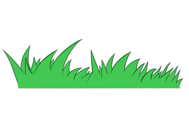 Indian grass easy drawing