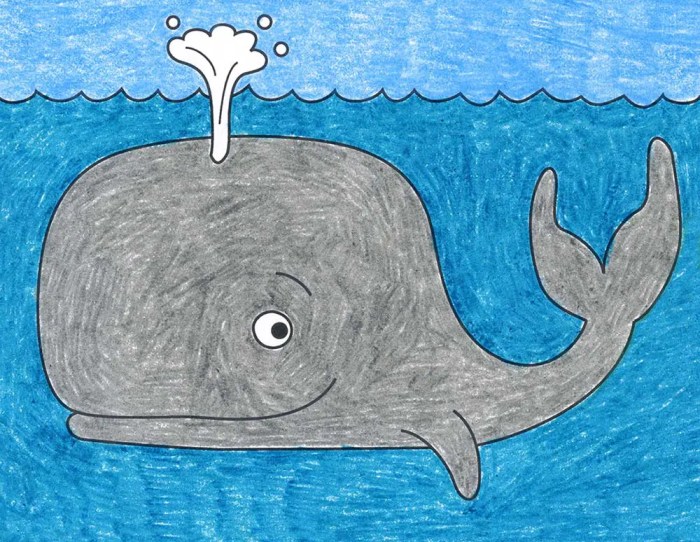 Whale with barnacles drawing easy