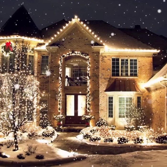 Christmas outdoor light decor