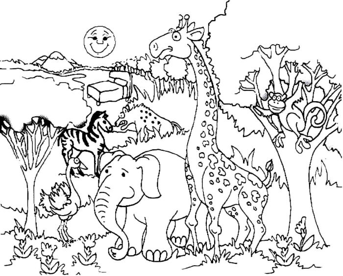 Forest animal coloring pages for kids