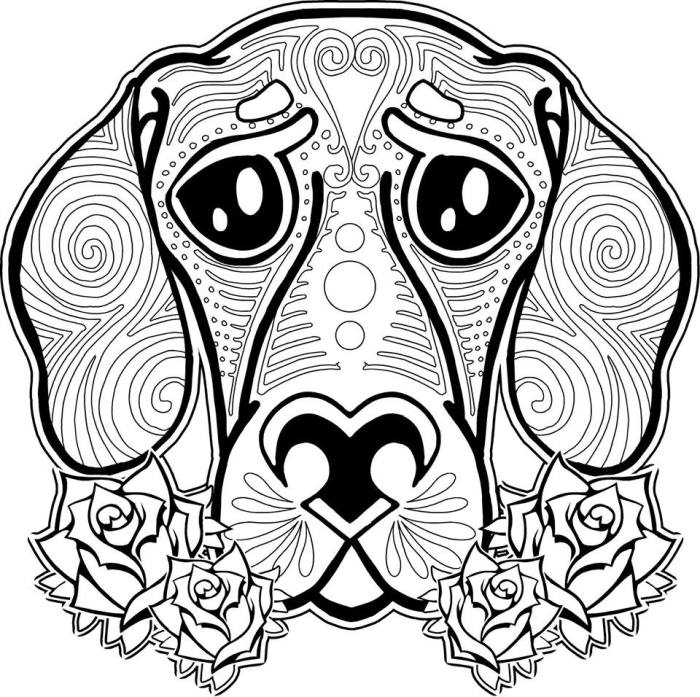 Animal coloring pages for