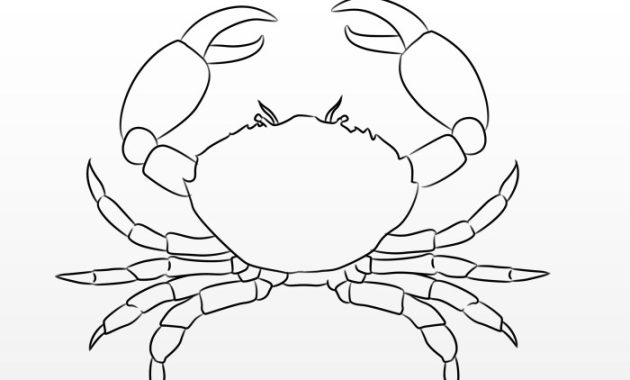 Easy drawing of crab