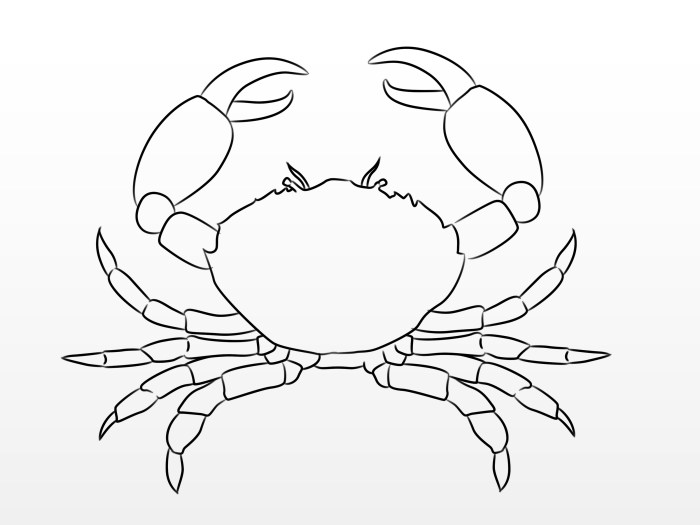 Easy drawing of crab