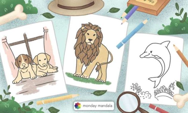 Animal coloring sheets for kids