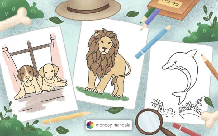 Animal coloring sheets for kids