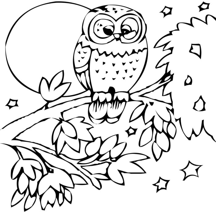 Animal coloring sheets printables free