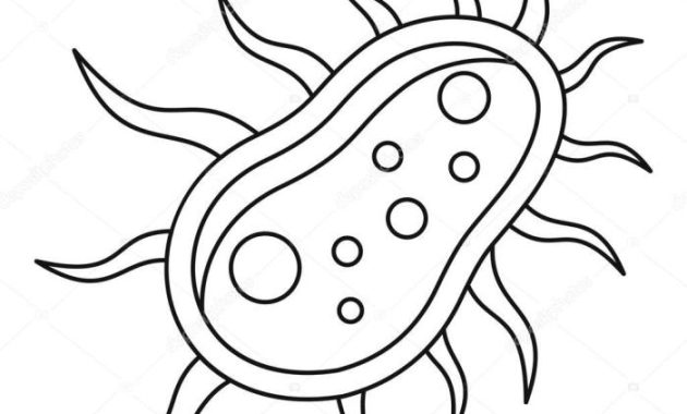 A easy drawing of bacteria