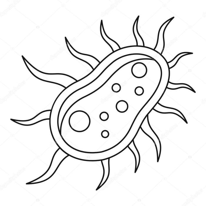 A easy drawing of bacteria