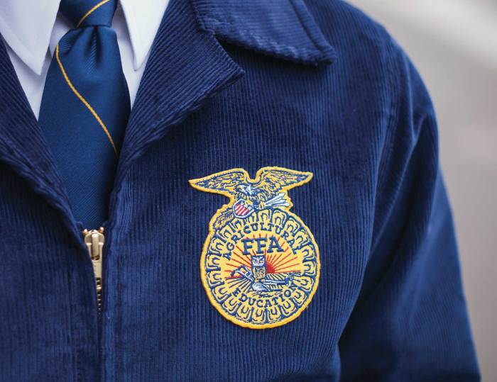 Ffa jacket drawing easy