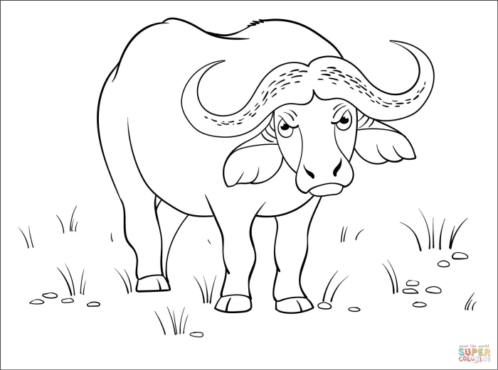 African buffalo animal coloring page