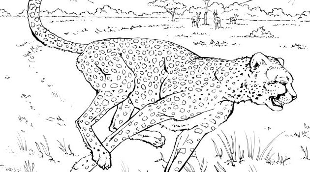 Realistic zoo animal coloring pages