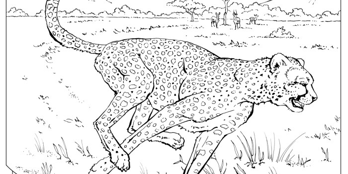 Realistic zoo animal coloring pages