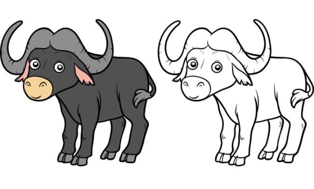 African buffalo animal coloring page