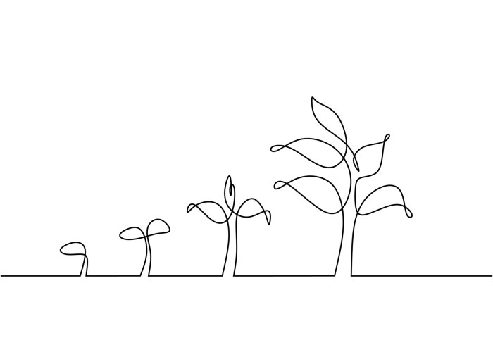 Growth spurt easy drawing