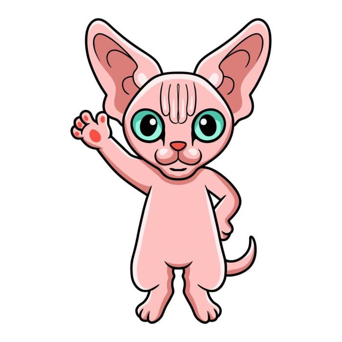 Sphynx cat cartoon easy drawing