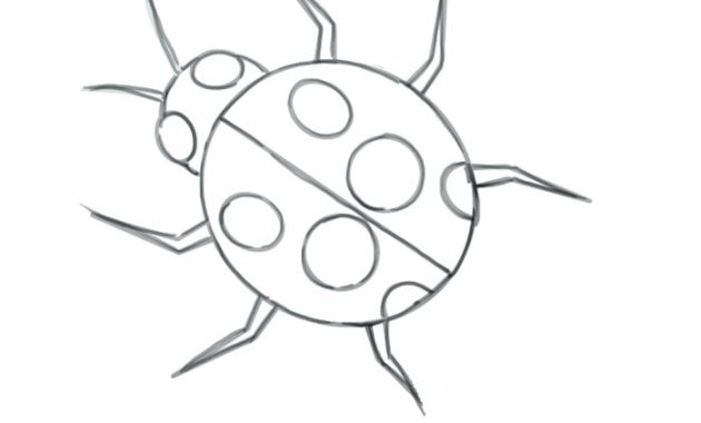 Drawing of a insects easy