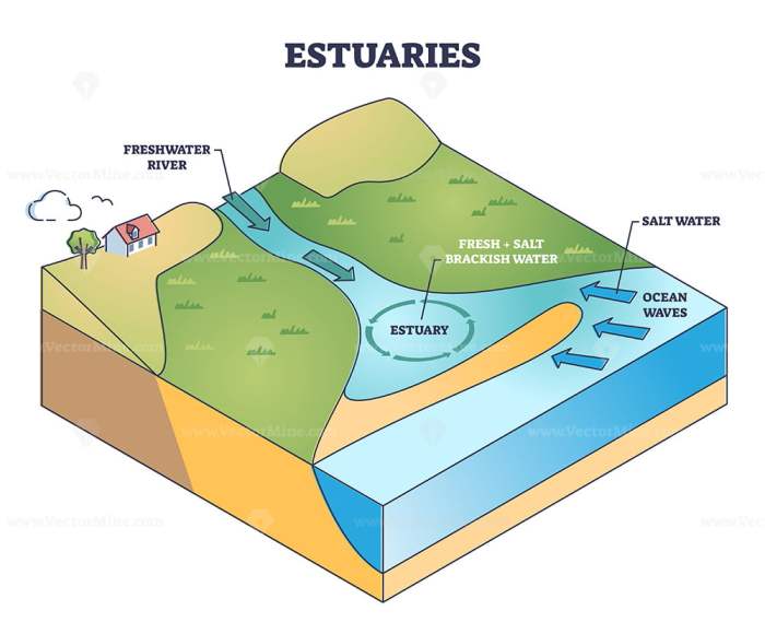 Easy drawing of estuary