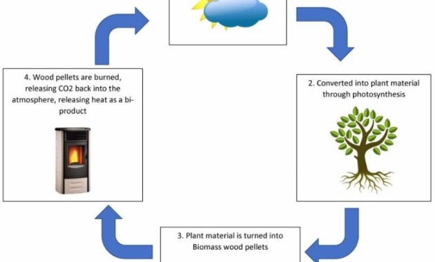 Biomass chemical bio