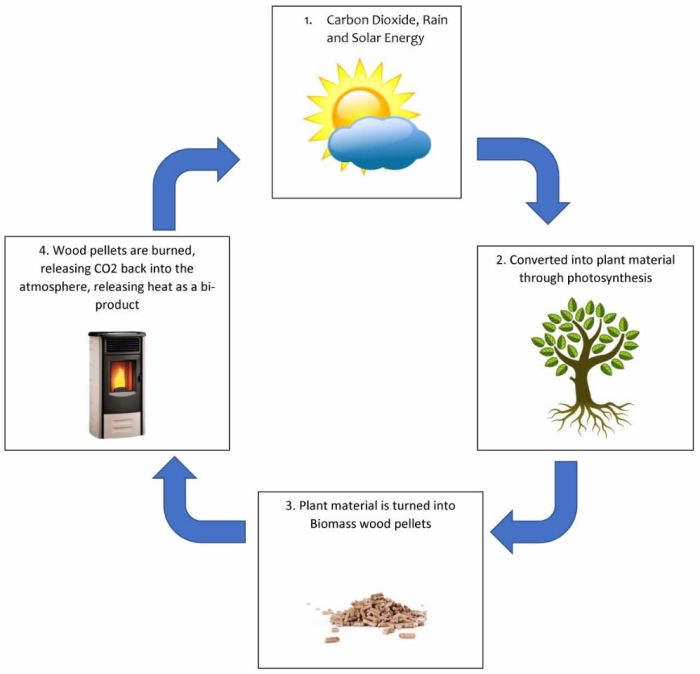 Biomass chemical bio