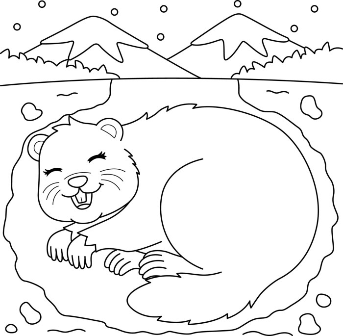 Free coloring pictures of hibernating animals