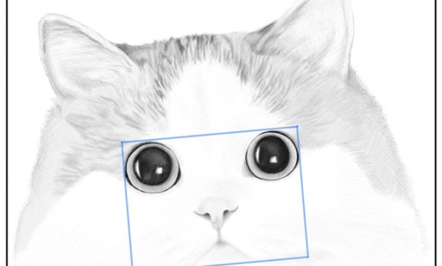 Easy cat face drawing