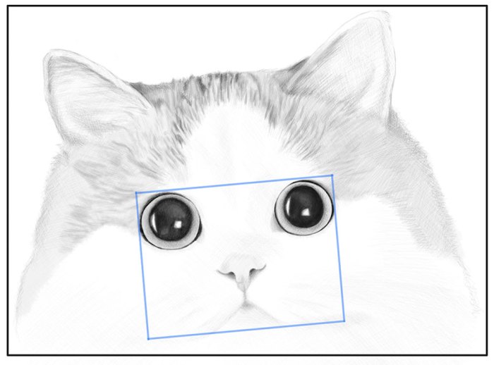 Easy cat face drawing