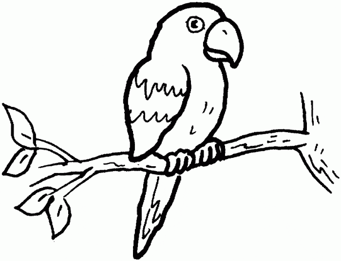 Coloring pages for girls animals parot