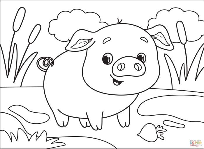 Animal coloring pages pig