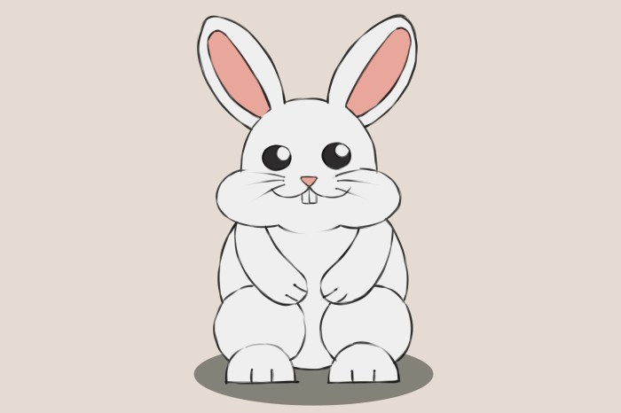 Drawing an easy bunny