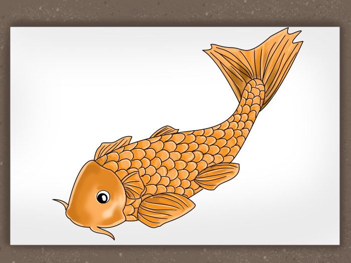 Koi fish drawing easy