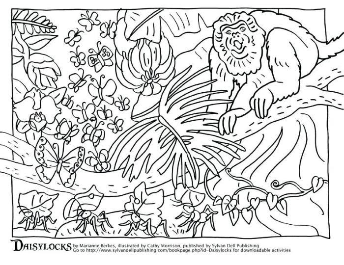 Camouflage animal coloring sheet preschool